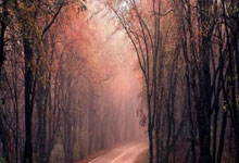 拜仁慕尼黑遭遇逆境，主帅调整战术迎敌