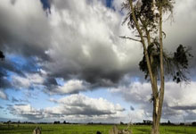 法国运动员在击剑比赛中夺冠