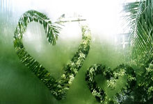 重庆斯威迎来与天津泰达的对决，期待主场拿下三分